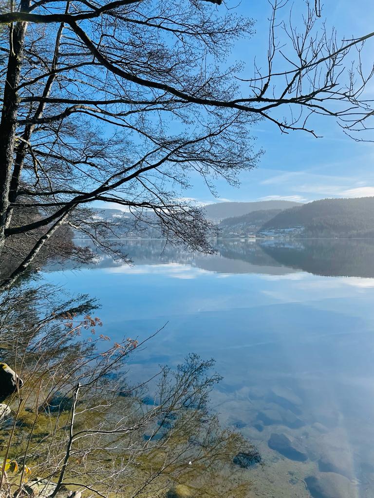 Lac 3
